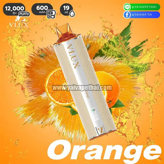 Vlux 12000 คำ รูปที่ 9