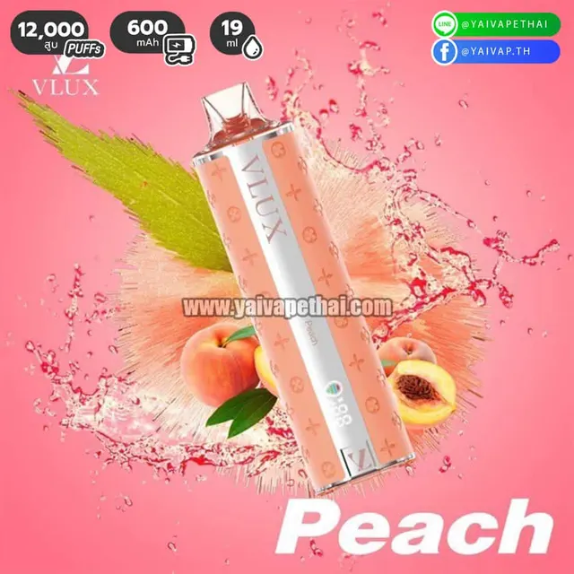 Vlux 12000 คำ รูปที่ 8