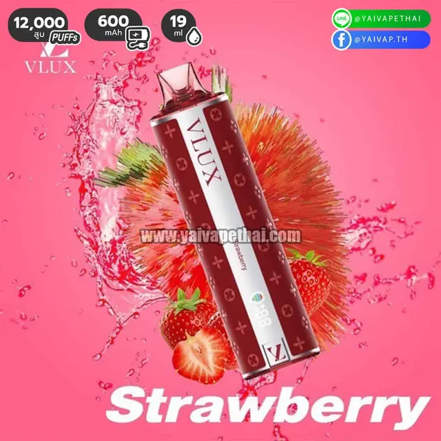 Vlux 12000 คำ รูปที่ 6